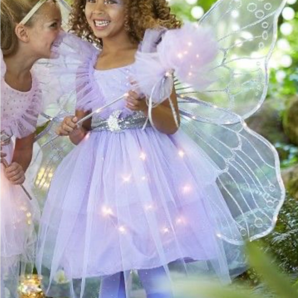 Pottery barn kids fairy costume